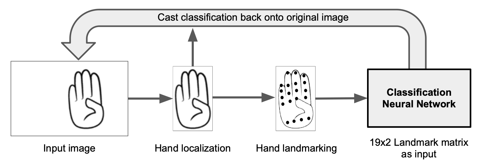 Detection Module